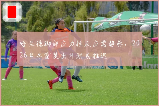 哈兰德脚部应力性反应需静养，2026年冬窗复出计划或推迟