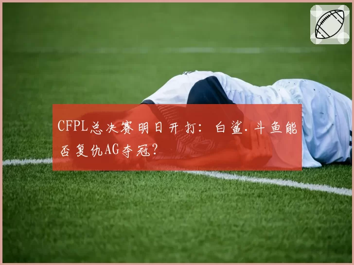 CFPL总决赛明日开打：白鲨.斗鱼能否复仇AG夺冠？
